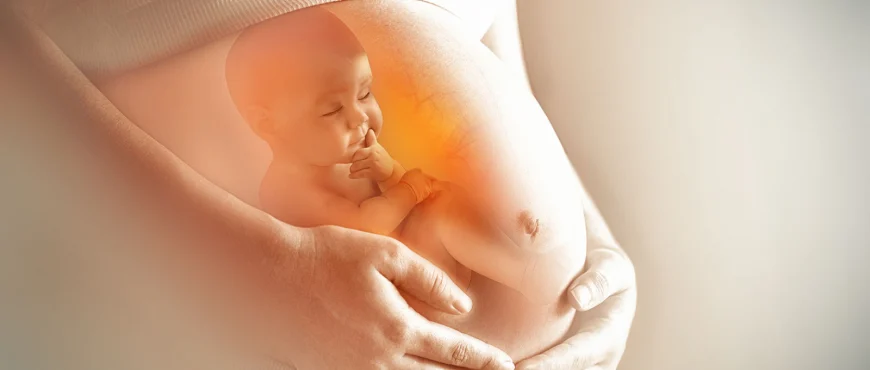 Cómo funciona el seguro de gastos médicos en maternidad.